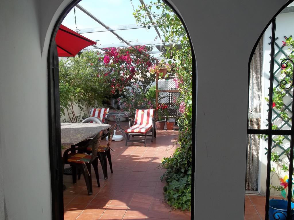 Madamme Curie Apartment Torrevieja Eksteriør bilde