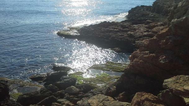 Madamme Curie Apartment Torrevieja Eksteriør bilde